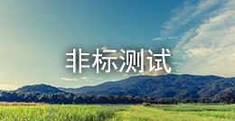 非標測試